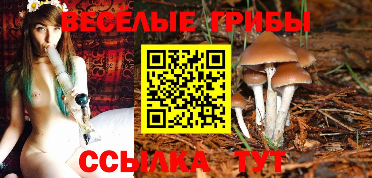 Псилоцибиновые грибы ЛСД  Вход с VPN  Тельмана 