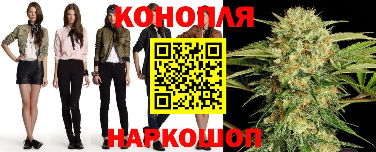 Бошки Шишки планчик Тельмана